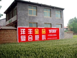 延安如何让墙体广告展现最大化效果