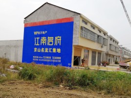 延安农村墙体广告在不同形式上面展现的不同特色