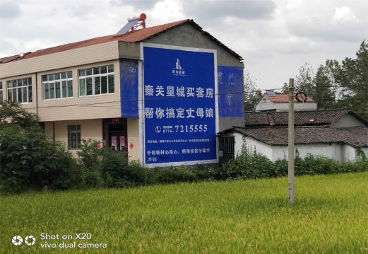 延安决定墙体广告价格的因素有哪些?